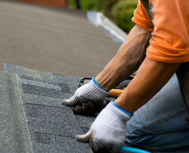 Best Roof Repair Services  in Warrenton, GA